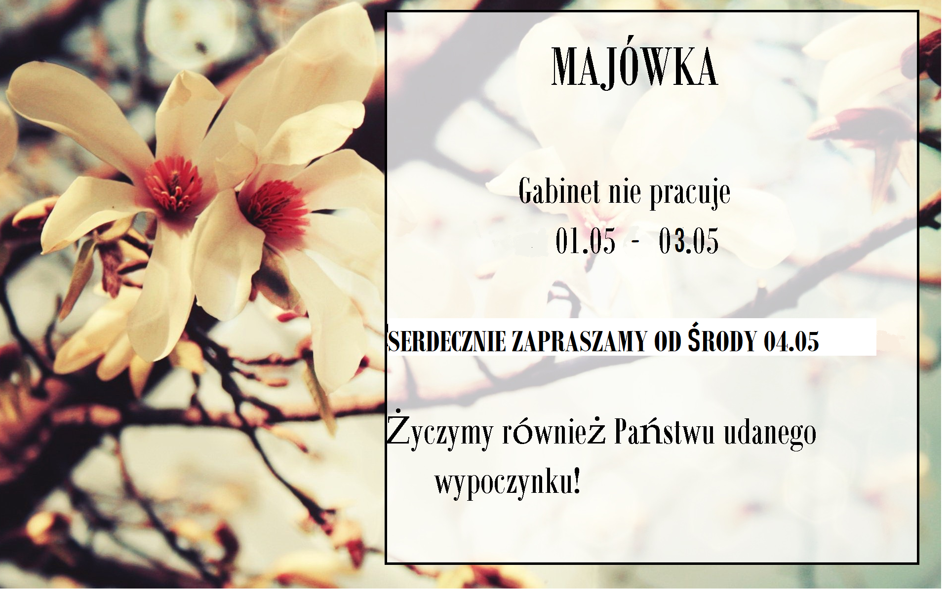 majowka_2022.png